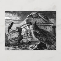 Begleitung zu Eulen Postkarte