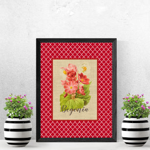 Begonia botanisch und Quatrefoil Poster
