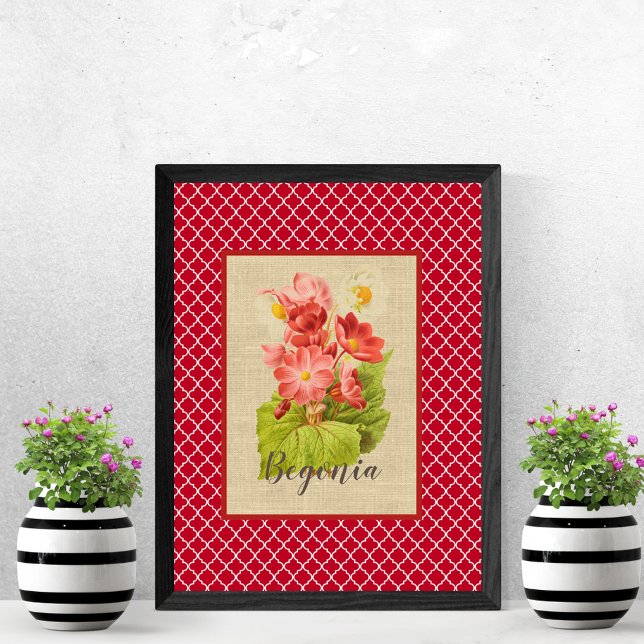 Begonia botanisch und Quatrefoil Poster (Von Creator hochgeladen)