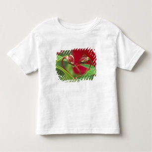 Begonia Buds in Herzform mit Tropfen . Kredit Kleinkind T-shirt
