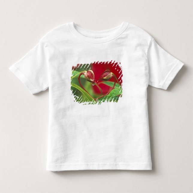 Begonia Buds in Herzform mit Tropfen . Kredit Kleinkind T-shirt (Vorderseite)