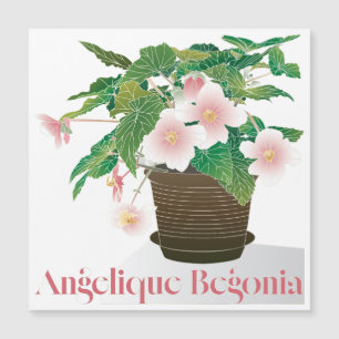 Begonia-Flachmagnet Magnetkarte