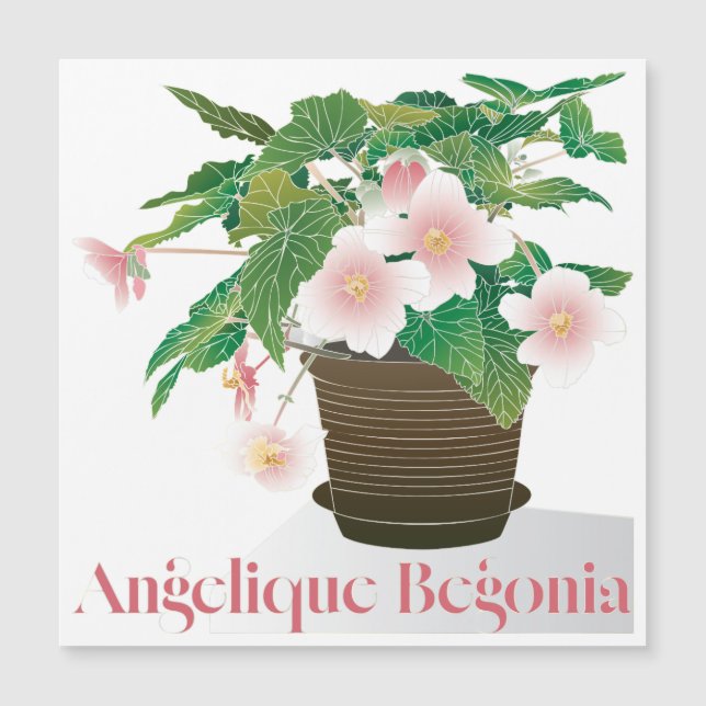 Begonia-Flachmagnet Magnetkarte (Vorderseite)