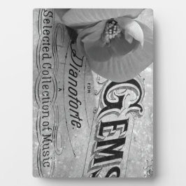 Begonia Gems Pianoforte Fotoplatte