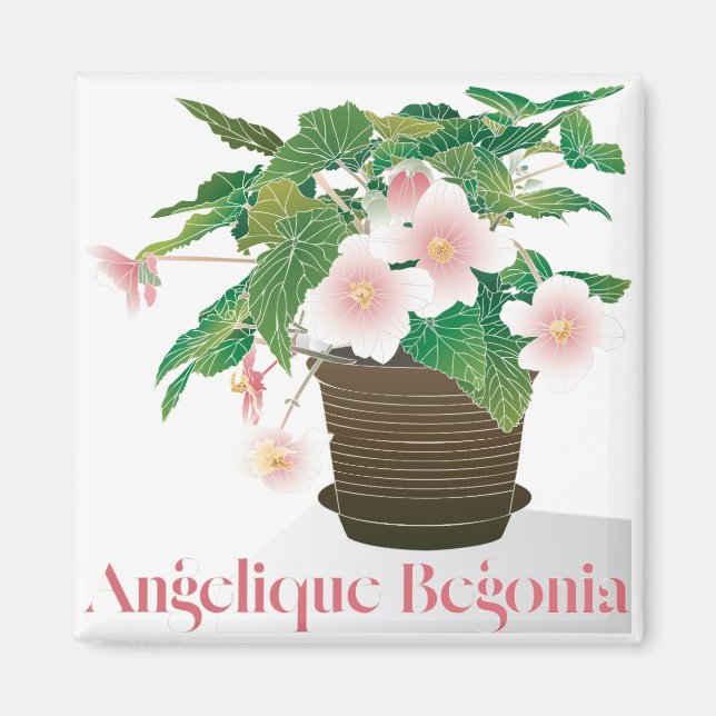 Begonia Magnet (Vorne)
