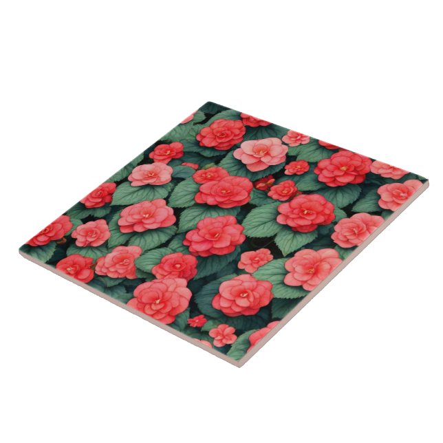 Begonia rosa Blume Fliese (Seite)