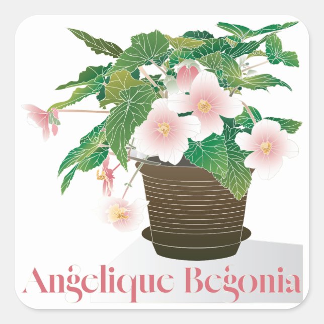 Begonia Stickers (Vorderseite)