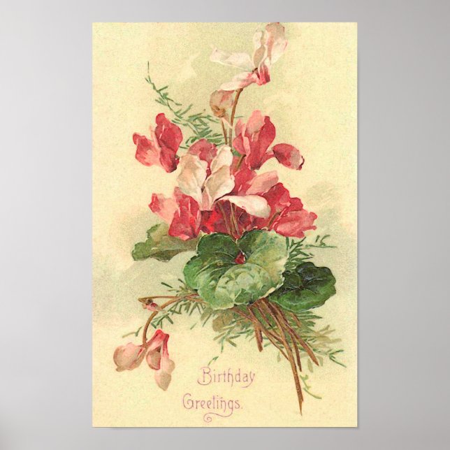 Begonia Vintage Birthday Greetings Poster (Vorne)