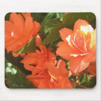Begonias Foto Mousepad