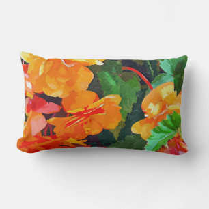 BEGONIAS LENDENKISSEN