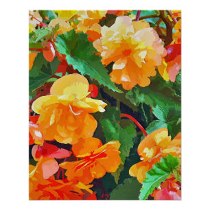 BEGONIAS POSTER