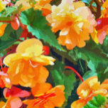 BEGONIEN-BLUME iPad PRO COVER<br><div class="desc">Eine hübsche Aquarellfarbe aus gelben und rosa Begonias.</div>