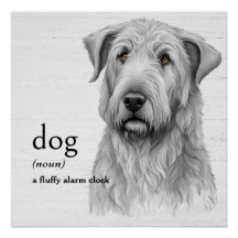 Begriffsbestimmung für DOG