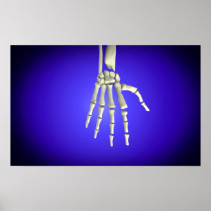 Begriffsbild der Knochen in menschlicher Hand 2 Poster