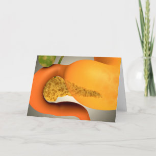 Begriffsbild des menschlichen Pankreas und des Karte