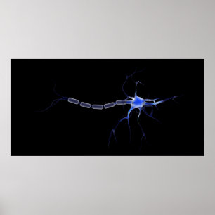 Begriffsbild eines Neurons 2 Poster