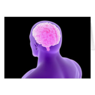 Begriffsbild menschlichen Gehirns 9