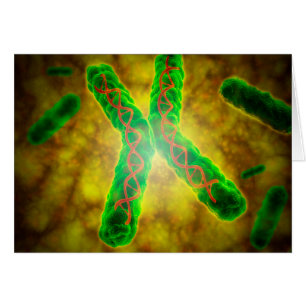 Begriffsbild von einem Telomere