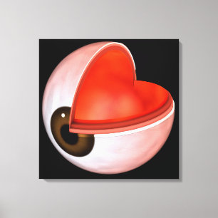 Begriffsbild von menschliches Augen-Anatomie 8 Leinwanddruck