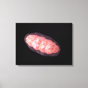 Begriffsbild von Mitochondrien 2 Leinwanddruck