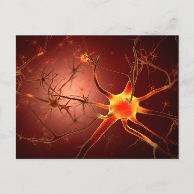 Begriffsbild von Neuron 1 Postkarte (Vorderseite)