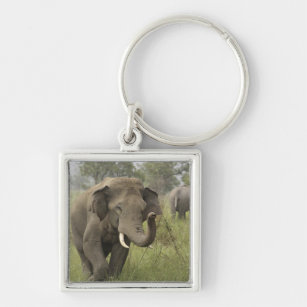 Begrüßung der indischen/asiatischen Elefanten, Cor Schlüsselanhänger