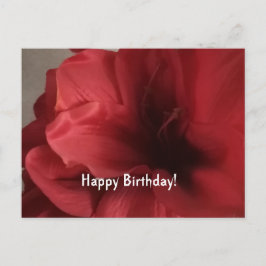 Begrüßung Geburtstagskarte Postkarte