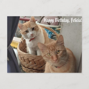 Begrüßung Geburtstagskarte Postkarte