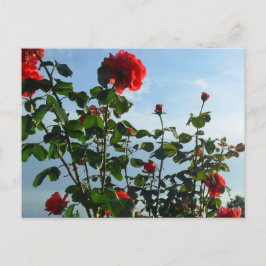 Begrüßung Geburtstagskarte Postkarte