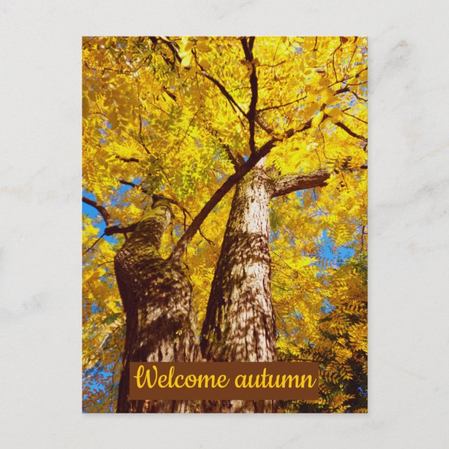 Begrüßungsherbst Postkarte (Vorderseite)