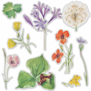 Begrüßungszeichen farbenfrohe Wildblume Aufkleber