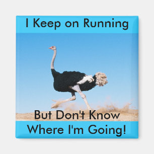 Behalt auf dem Running Ostrich Magnet