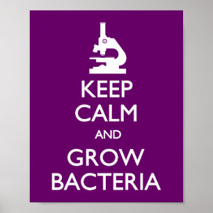 Behalt Calm Grow Bacteria Poster