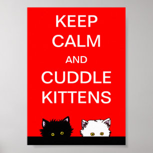 Behalt Calm Kittens Poster