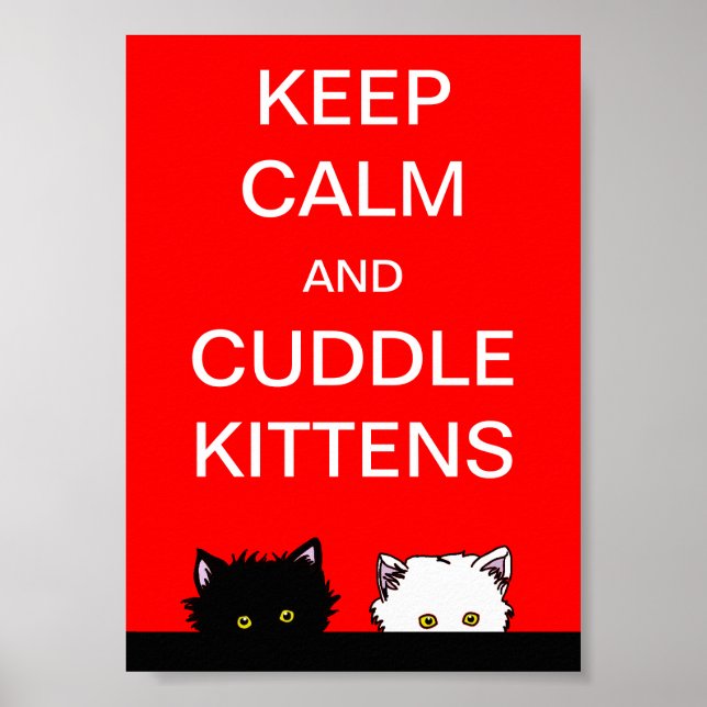 Behalt Calm Kittens Poster (Vorne)