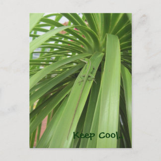 Behalt Cool.. Postkarte