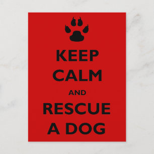 Behalt der Rettungsaktion Postkarte