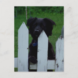 behalt eines Auges Postkarte