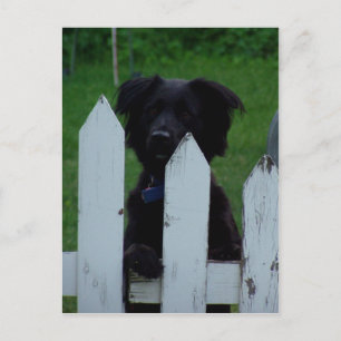 behalt eines Auges Postkarte