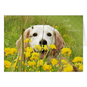 behalt einfach Beagle schnüffeln in Wildblumen