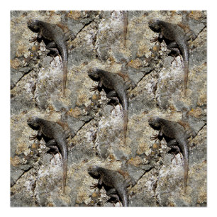 Behalt gleich beim Klettern.... Poster