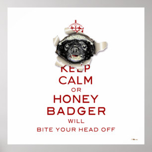 Behalt Ruhe oder Honey Badger... Poster