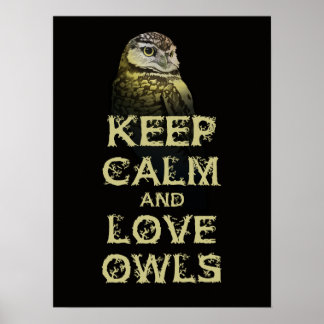 Behalt Ruhe und Liebe Owls Plakat Originale Schüss