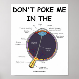 Behalte mich nicht im Auge Augenanatomie Einstellu Poster