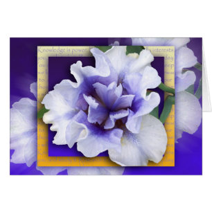 Behalten Sie das Lernen