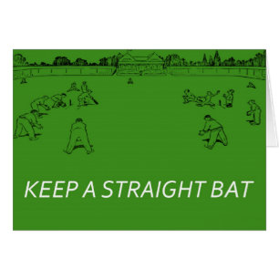 Behalten Sie ein gerades Bat2
