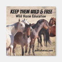 Behalten Wild & Free