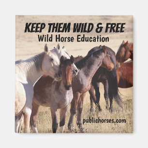 Behalten Wild & Free Magnet