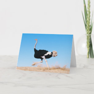 Behaltend Straußenkarte Dankeskarte