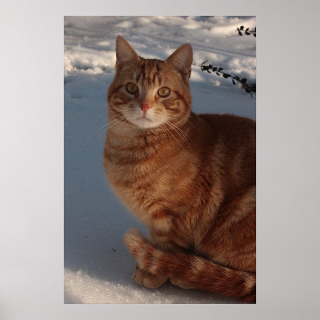 Behaltend Warm Poster (Vorne)